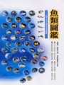 魚類圖鑑-台灣七百多種常見魚類圖鑑(精裝)