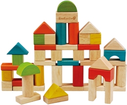 50pcs Building Blocks:環保益智積木組(外文書)