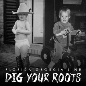 佛喬航線 / 紮根 Dig Your Roots CD