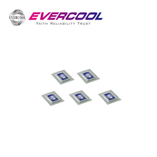 EVERCOOL Grease Cleanser導熱膏清潔布