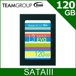 Team 十銓 L3 EVO 120GB 2.5吋 SSD固態硬碟
