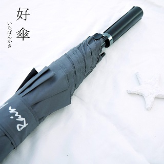好傘王 自動直傘系_輕量級超大傘面董事長傘(灰色)