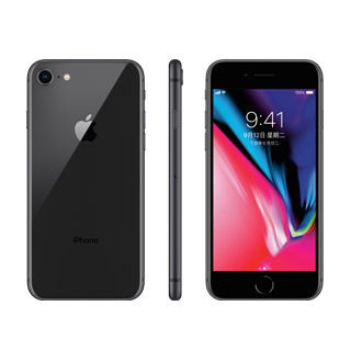 Apple iPhone 8 (256G)-太空灰(MQ7C2TA/A)