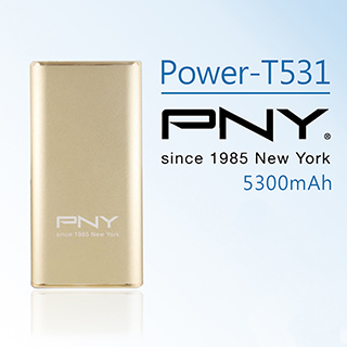 【 PNY 必恩威】T531 5300mAh 時尚金屬質行動電源