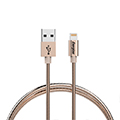 Energizer勁量Apple Lightning金屬傳輸線120cm(香檳金)