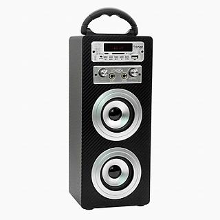 KINYO藍牙卡拉OK多功能音箱NS-81送百元耳機