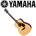 『YAMAHA 山葉』FG700MS 民謠吉他 平光 / 含琴袋、肩帶、匹克 / 贈移調夾、調音器 / 公司貨