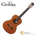 Cordoba 美國品牌 Cadete 3/4單板古典吉他 附琴袋 木踏板 擦琴布【3/4琴身/弦長:61.5cm/36吋】