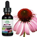 【Organika優格康】紫錐花萃取滴液(30ml)