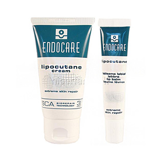 【C-Skin杜克E】極緻修護保溼組(修護保溼霜 50ml+護唇精華 10ml)